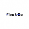 PAREX FLEX&GO